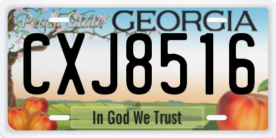 GA license plate CXJ8516