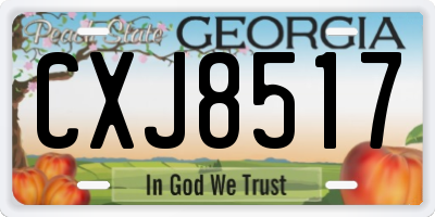 GA license plate CXJ8517