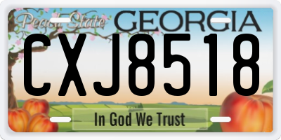 GA license plate CXJ8518