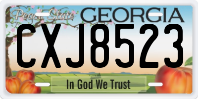 GA license plate CXJ8523