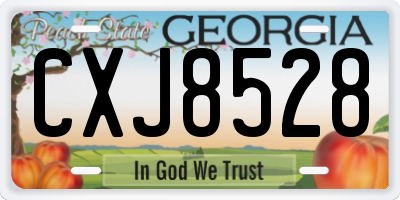 GA license plate CXJ8528