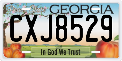 GA license plate CXJ8529