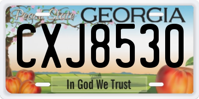 GA license plate CXJ8530