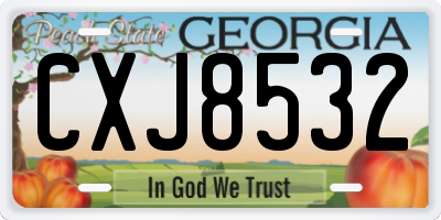 GA license plate CXJ8532