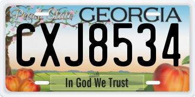 GA license plate CXJ8534