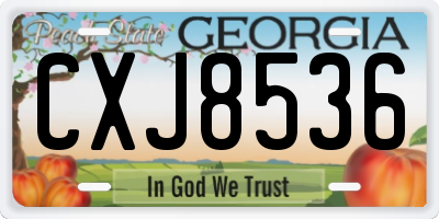 GA license plate CXJ8536