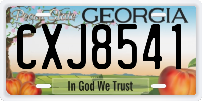 GA license plate CXJ8541