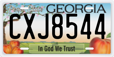 GA license plate CXJ8544
