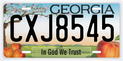 GA license plate CXJ8545
