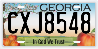 GA license plate CXJ8548