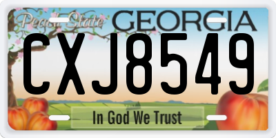 GA license plate CXJ8549