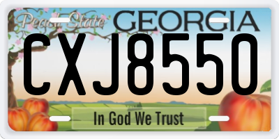 GA license plate CXJ8550