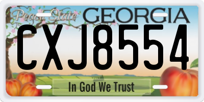 GA license plate CXJ8554