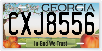 GA license plate CXJ8556