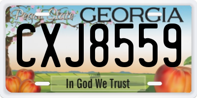 GA license plate CXJ8559