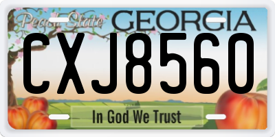 GA license plate CXJ8560
