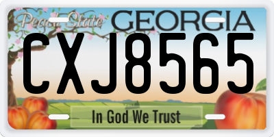 GA license plate CXJ8565