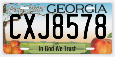 GA license plate CXJ8578