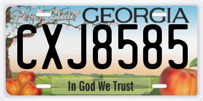 GA license plate CXJ8585