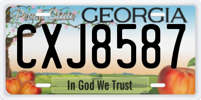 GA license plate CXJ8587