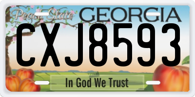GA license plate CXJ8593