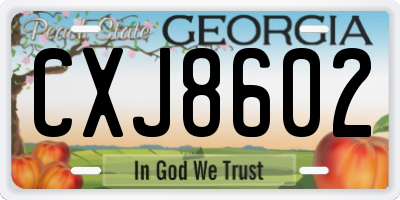 GA license plate CXJ8602