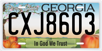 GA license plate CXJ8603