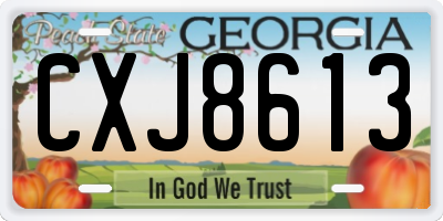 GA license plate CXJ8613