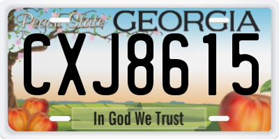 GA license plate CXJ8615