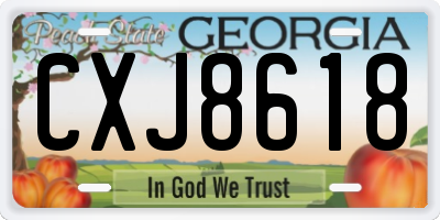GA license plate CXJ8618