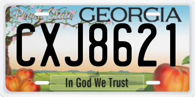 GA license plate CXJ8621