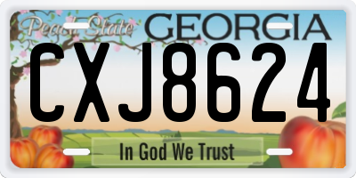 GA license plate CXJ8624