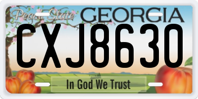 GA license plate CXJ8630