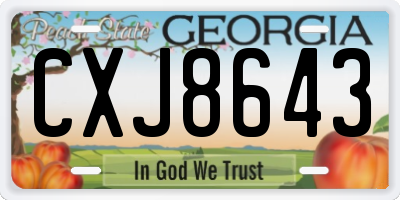 GA license plate CXJ8643