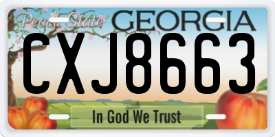 GA license plate CXJ8663