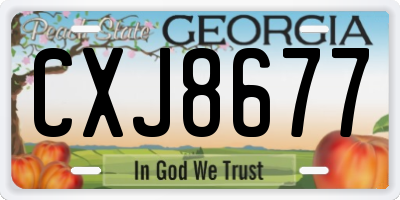 GA license plate CXJ8677