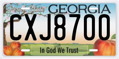 GA license plate CXJ8700