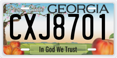 GA license plate CXJ8701