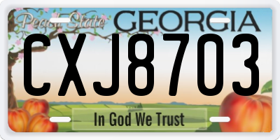 GA license plate CXJ8703