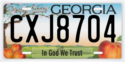 GA license plate CXJ8704