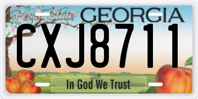 GA license plate CXJ8711