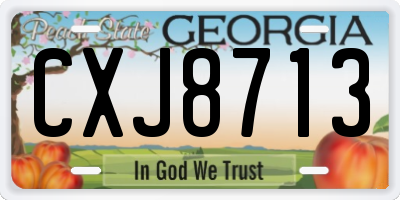 GA license plate CXJ8713