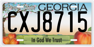 GA license plate CXJ8715