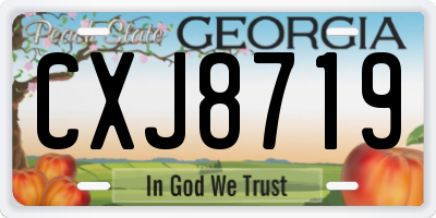 GA license plate CXJ8719
