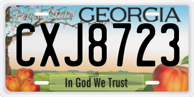 GA license plate CXJ8723