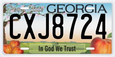 GA license plate CXJ8724