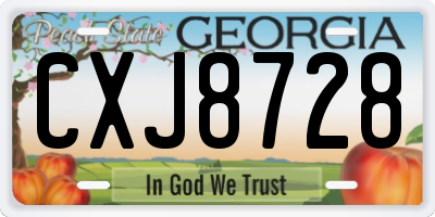 GA license plate CXJ8728
