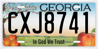 GA license plate CXJ8741