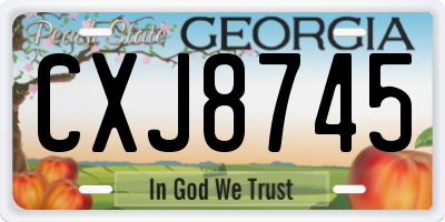 GA license plate CXJ8745