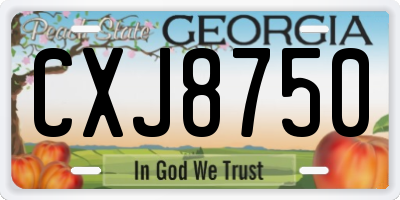 GA license plate CXJ8750